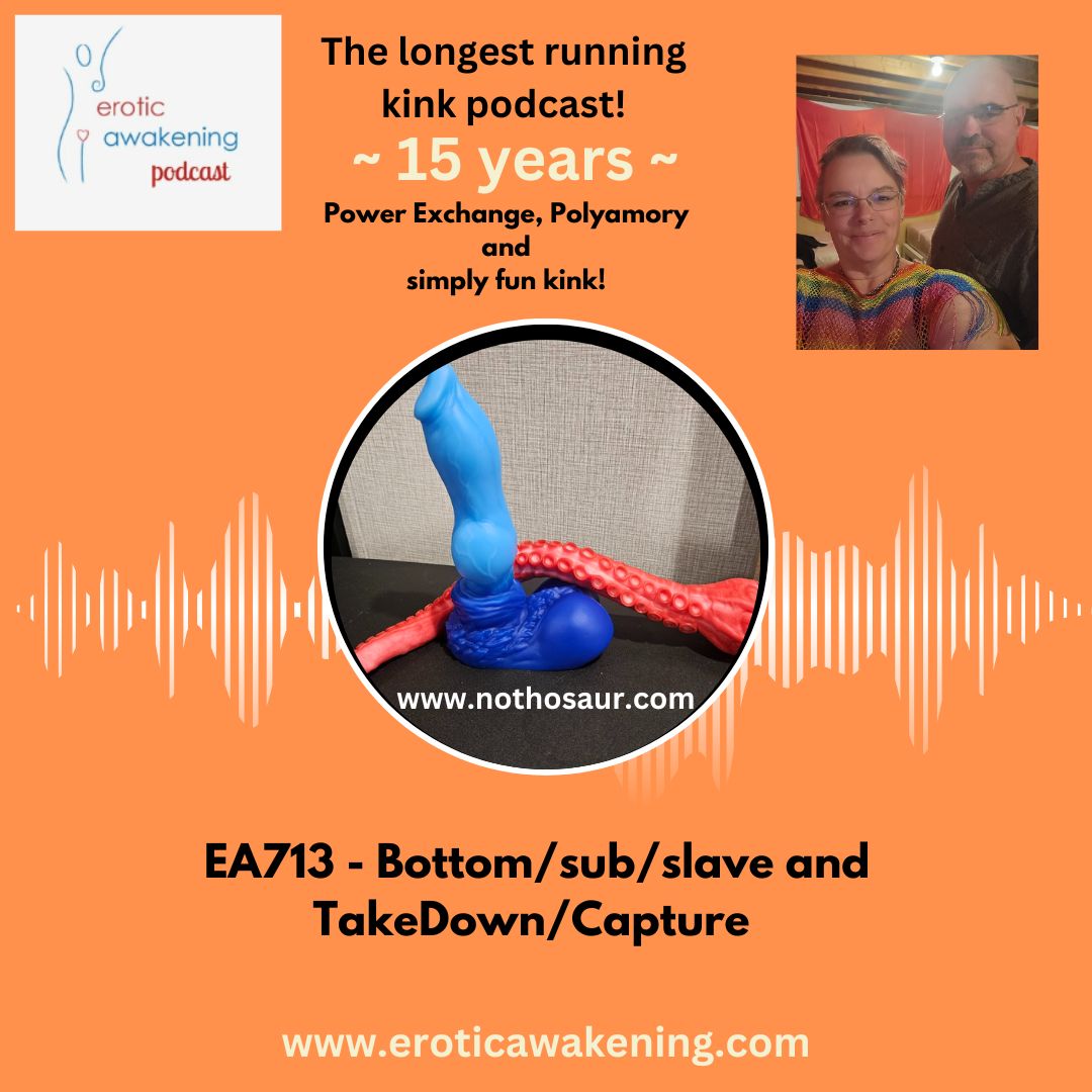EA713 – Bottom/sub/slave and Take Down/Capture